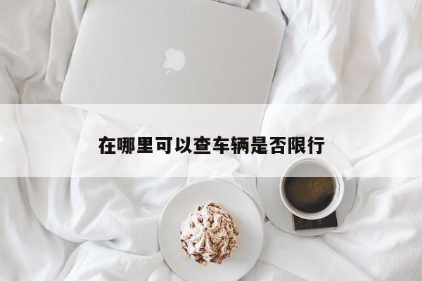在哪里可以查车辆是否限行