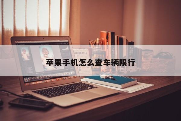 苹果手机怎么查车辆限行