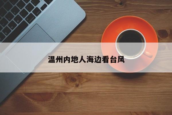 温州内地人海边看台风