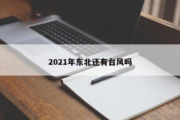 2021年东北还有台风吗