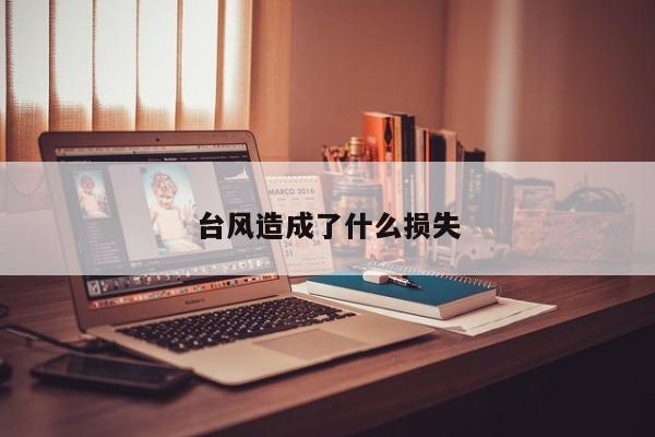 台风造成了什么损失