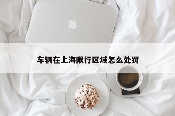 车辆在上海限行区域怎么处罚