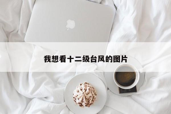 我想看十二级台风的图片