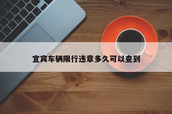 宜宾车辆限行违章多久可以查到