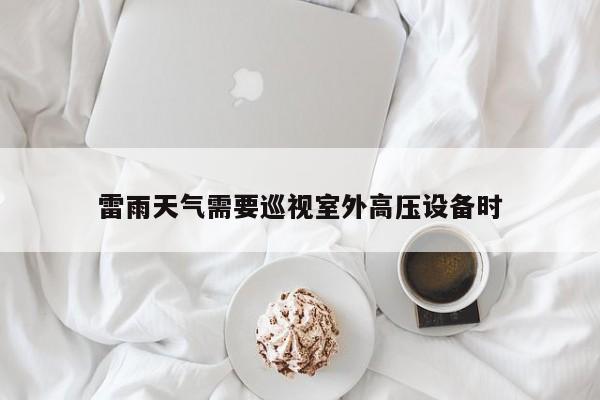 雷雨天气需要巡视室外高压设备时
