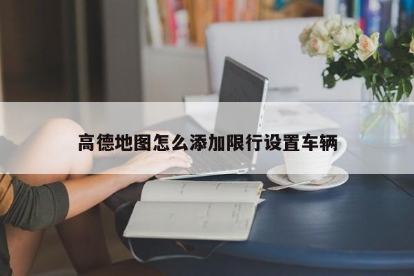 高德地图怎么添加限行设置车辆