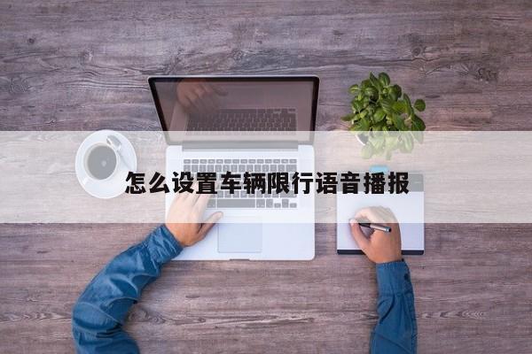 怎么设置车辆限行语音播报