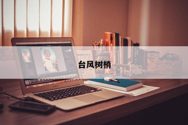 台风树梢