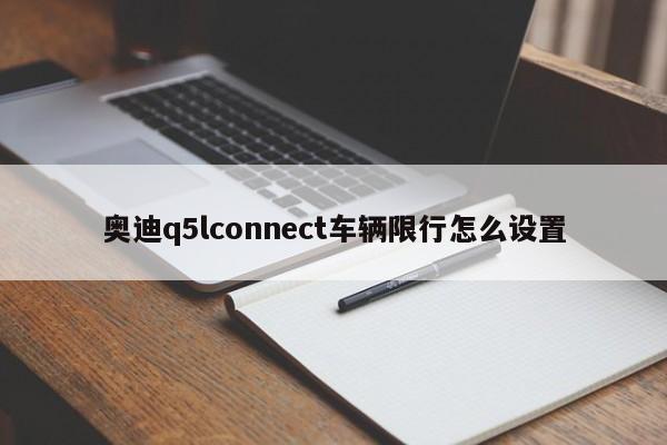 奥迪q5lconnect车辆限行怎么设置