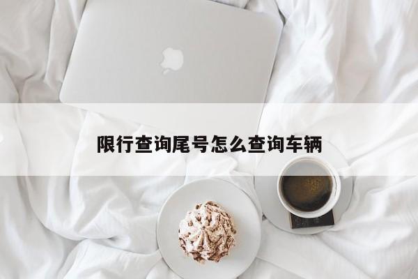 限行查询尾号怎么查询车辆